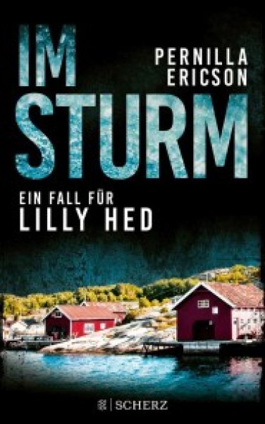 Buchcover: Im Sturm Buchcover: Im Sturm