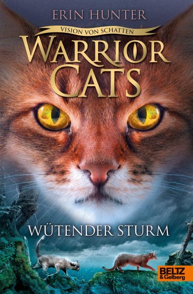 Buchcover: Warrior Cats Staffel 6/06 - Vision von Schatten. Wütender Sturm
