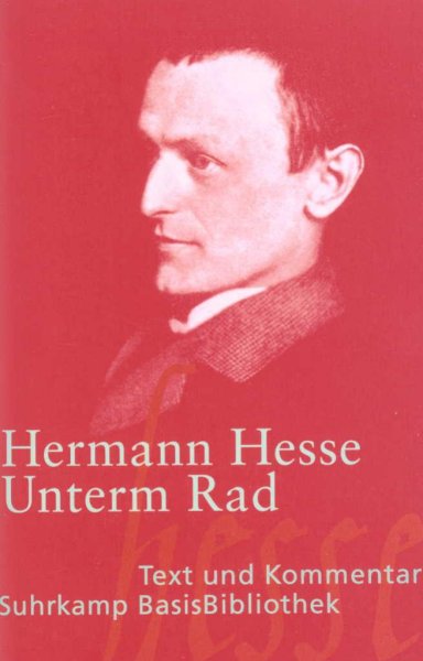 Buchcover: Unterm Rad