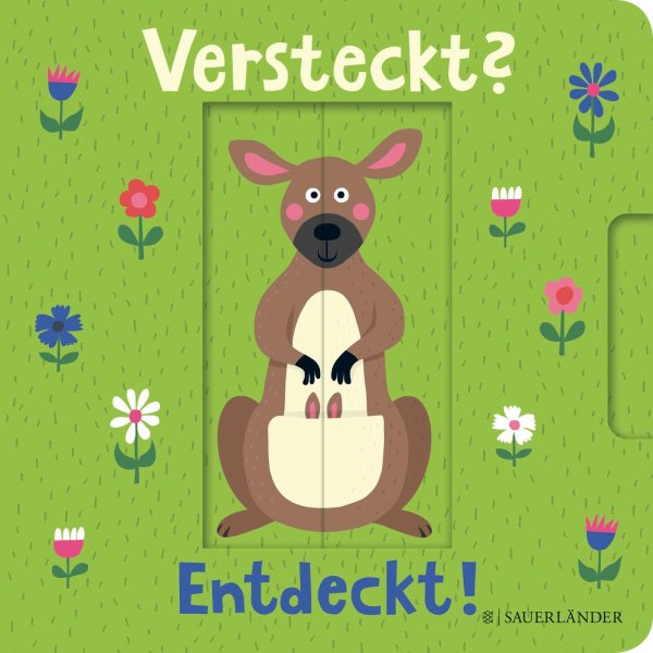 Buchcover: Versteckt? Entdeckt!