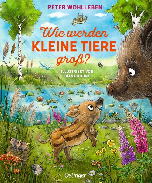 Buchcover: Wie werden kleine Tiere groß? Buchcover: Wie werden kleine Tiere groß?
