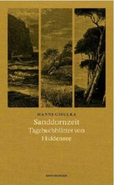 Buchcover: Sanddornzeit