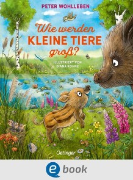 Buchcover: Wie werden kleine Tiere groß? Buchcover: Wie werden kleine Tiere groß?