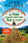 Buchcover: Bei Föhn brummt selbst dem Tod der Schädel