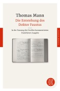 Buchcover: Die Entstehung des Doktor Faustus