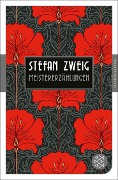 Buchcover: Meistererzählungen