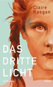 Buchcover: Das dritte Licht