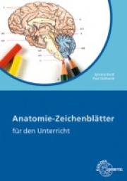 Anatomie Zeichenbltter
